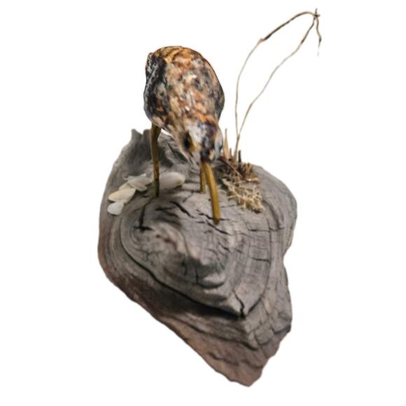 2-Hand-Carved Driftwood Sculptures ShoreBird w/Grass, Seashells/Owl Googly Eyes - Picture 4 of 8